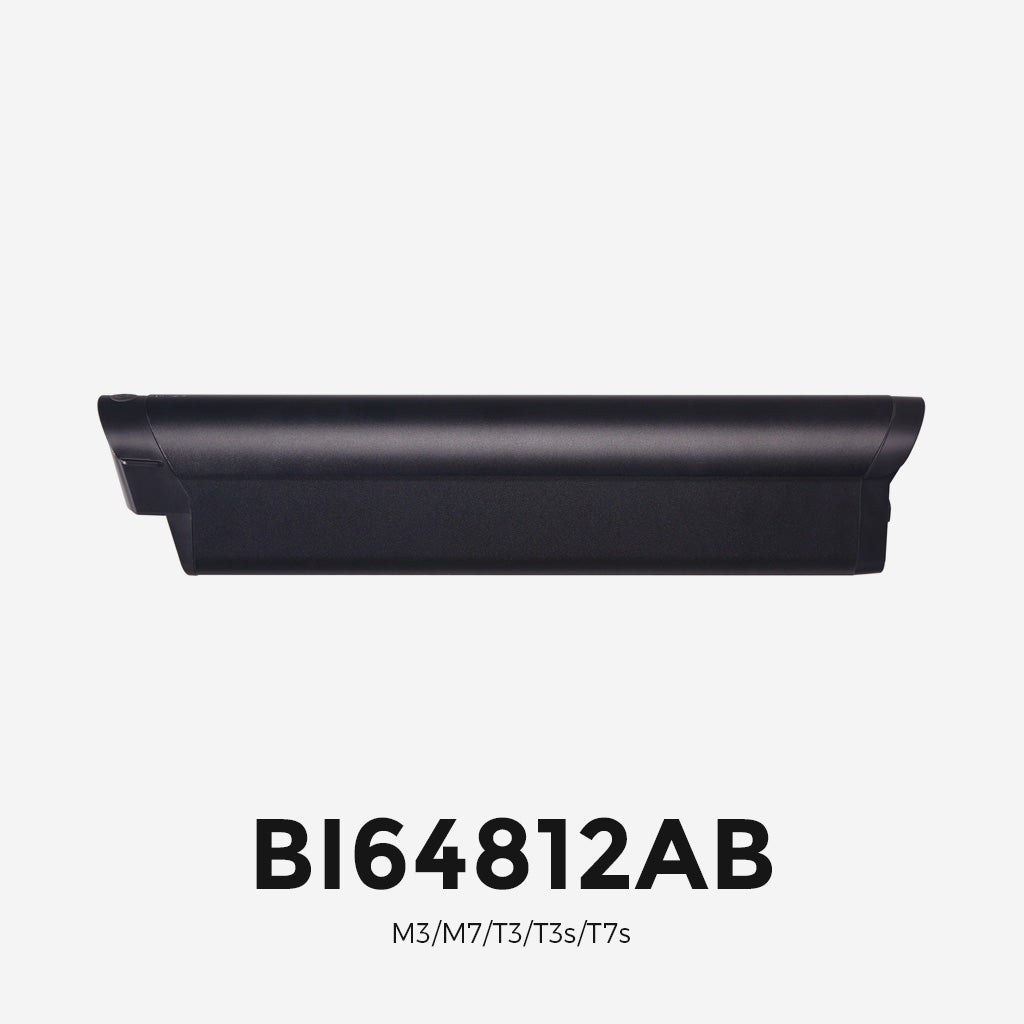 Batterie I6 48V 12Ah